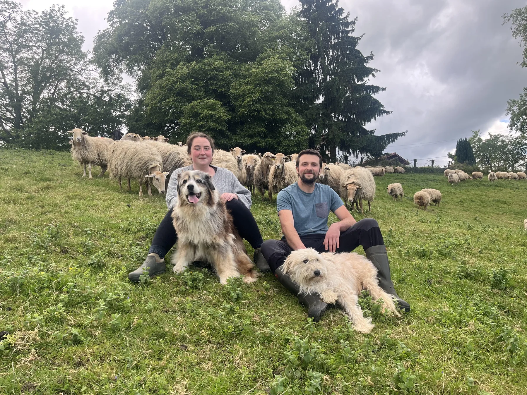 La famille de la Ferme Urtegi avec les brebis et les chiens de troupeau