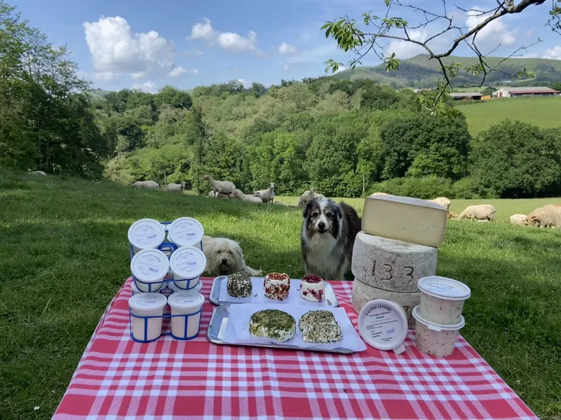 Fromages frais et produits de la Ferme Urtegi présentés dans les pâturages