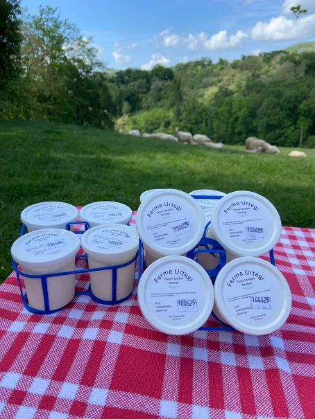 Pots de yaourt au lait de brebis de la Ferme Urtegi